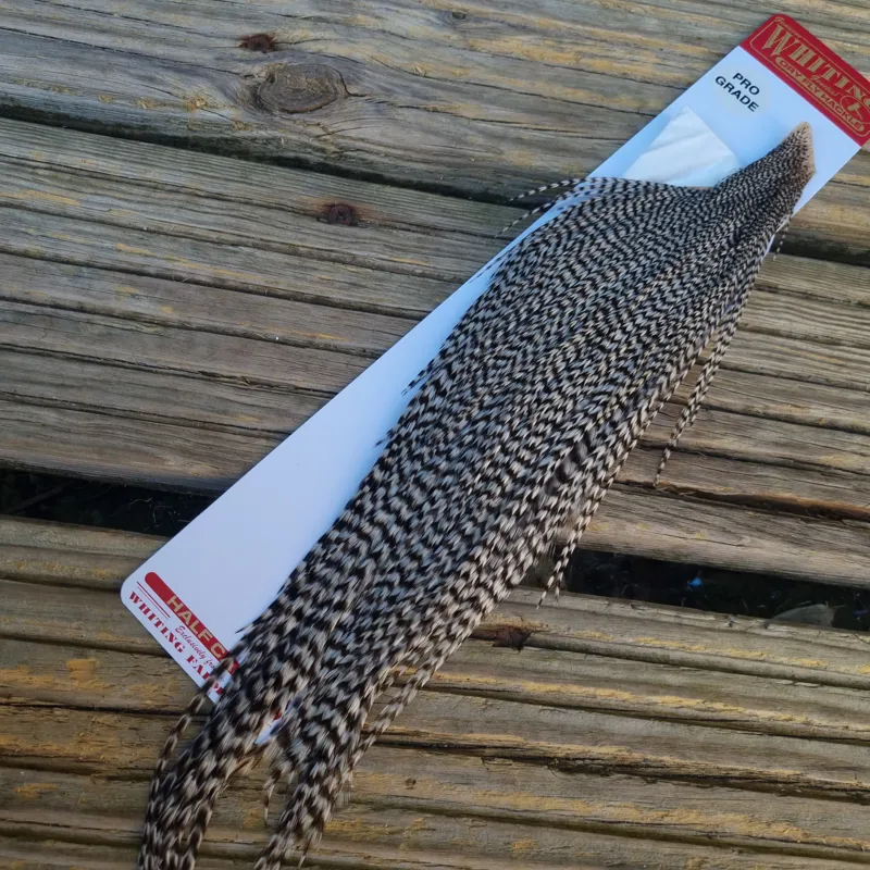 Whiting 1/2 Pro-Grade Dry Fly Rooster Cape in Grizzly-2